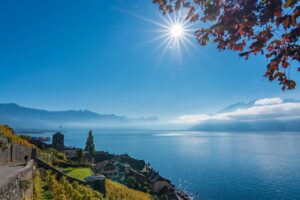 lavaux-6771369_1280